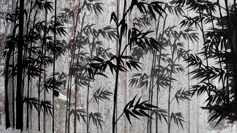 Bamboo silhouettes on wood