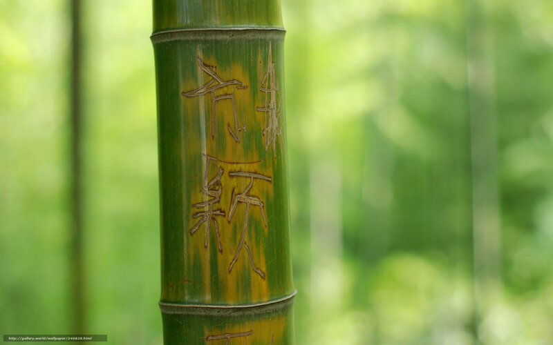 Bamboo Stalk with Carvings — Green
