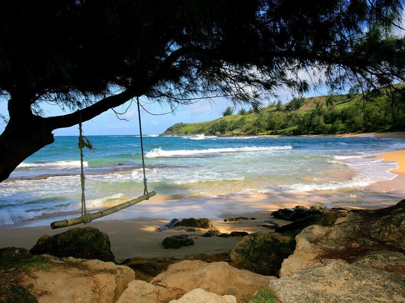 Bamboo Swing on Beach