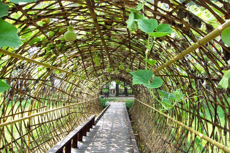 Bamboo Tunnel with Gourds