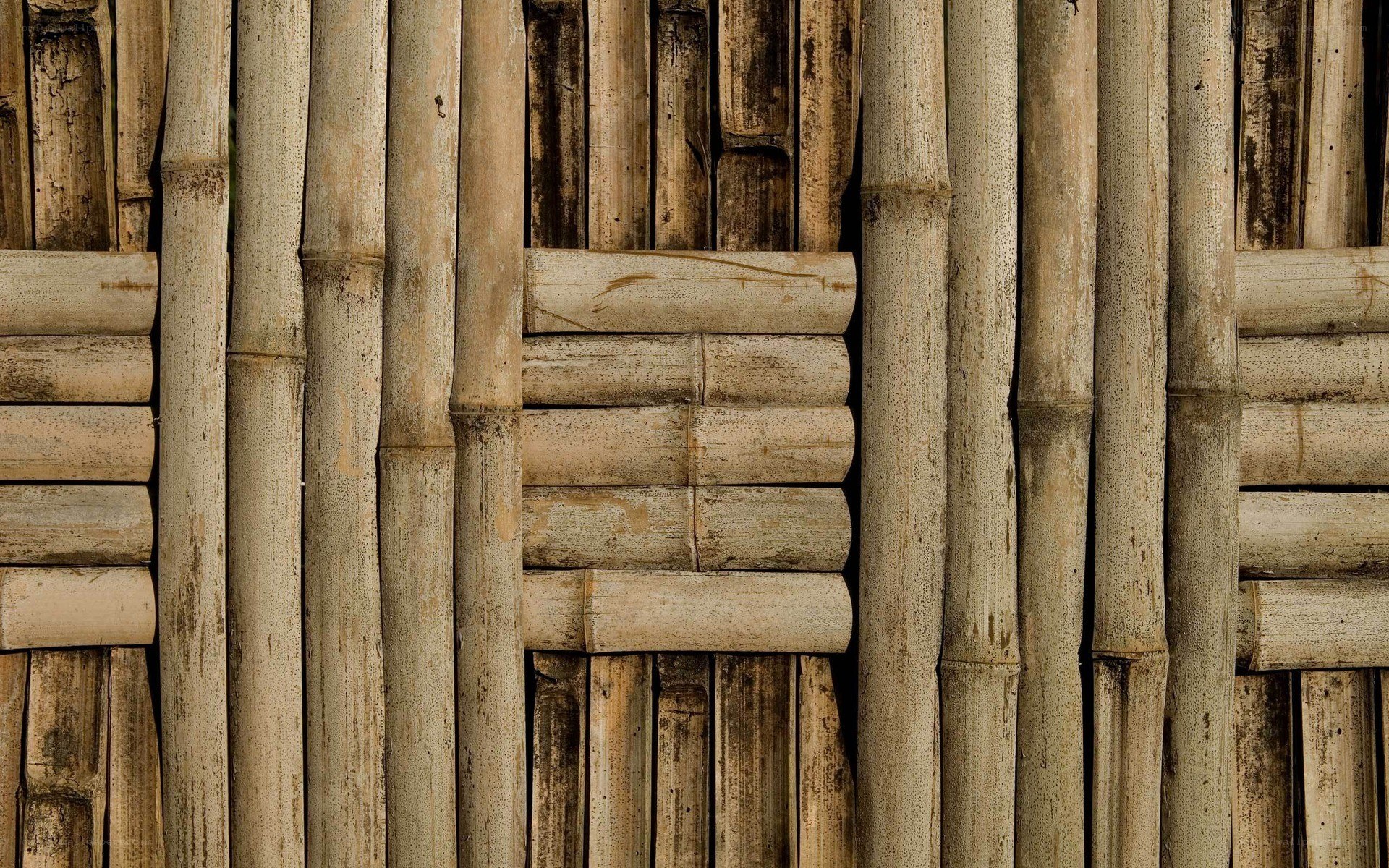 Bamboo wall texture