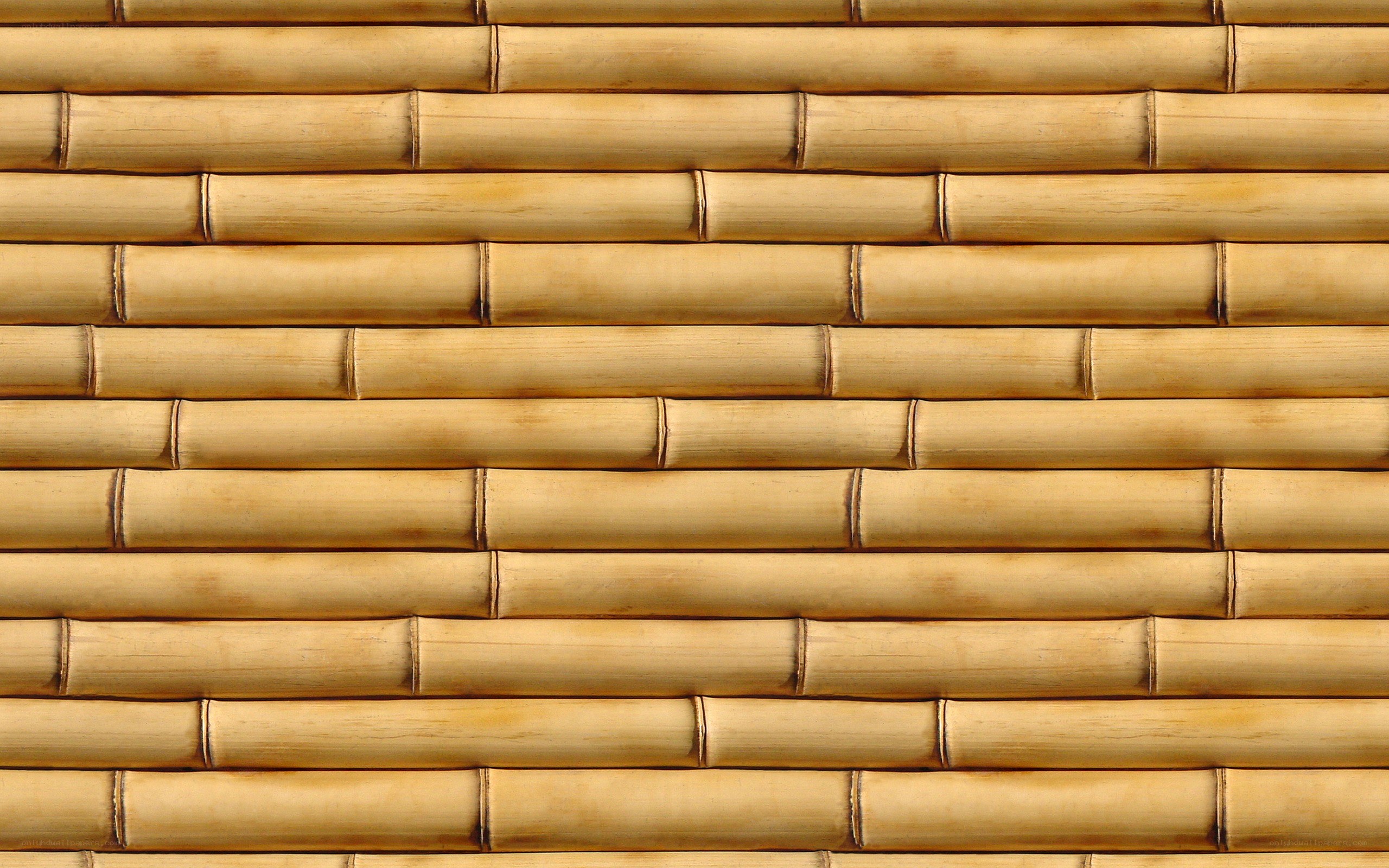 Bamboo wall texture