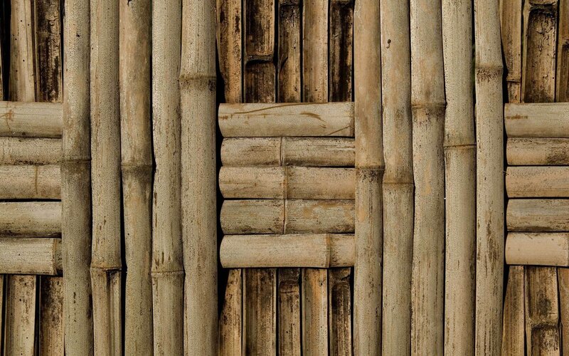Bamboo wall texture