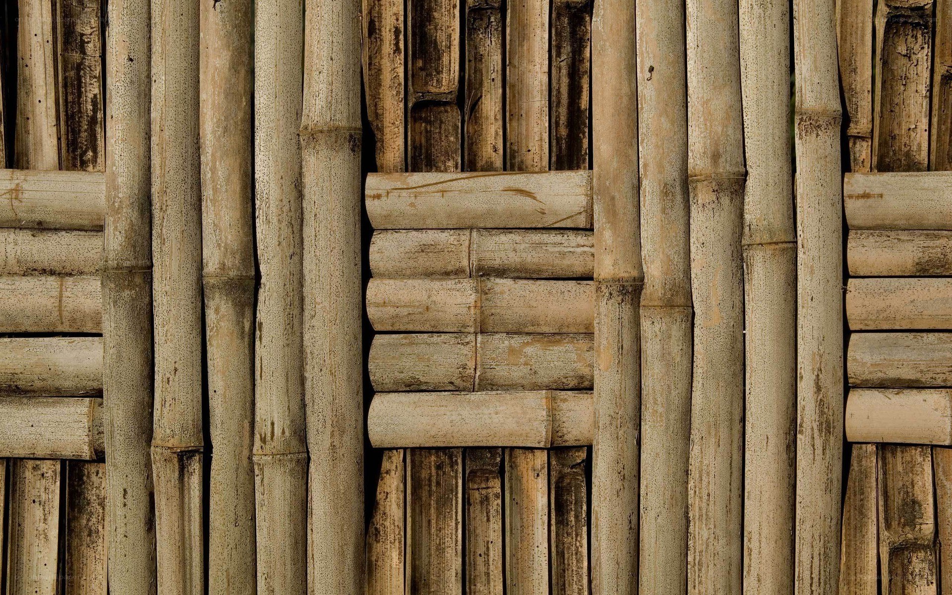Bamboo wall texture