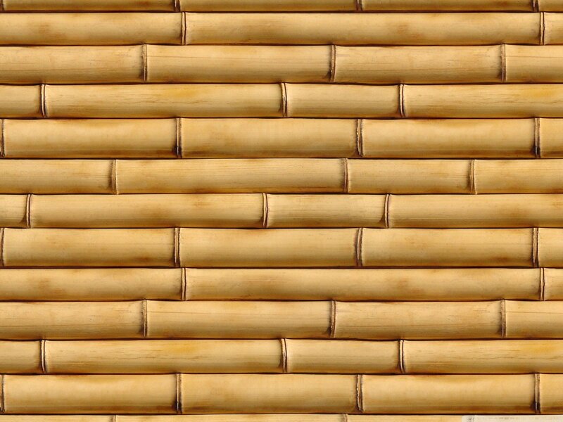 Bamboo wall texture