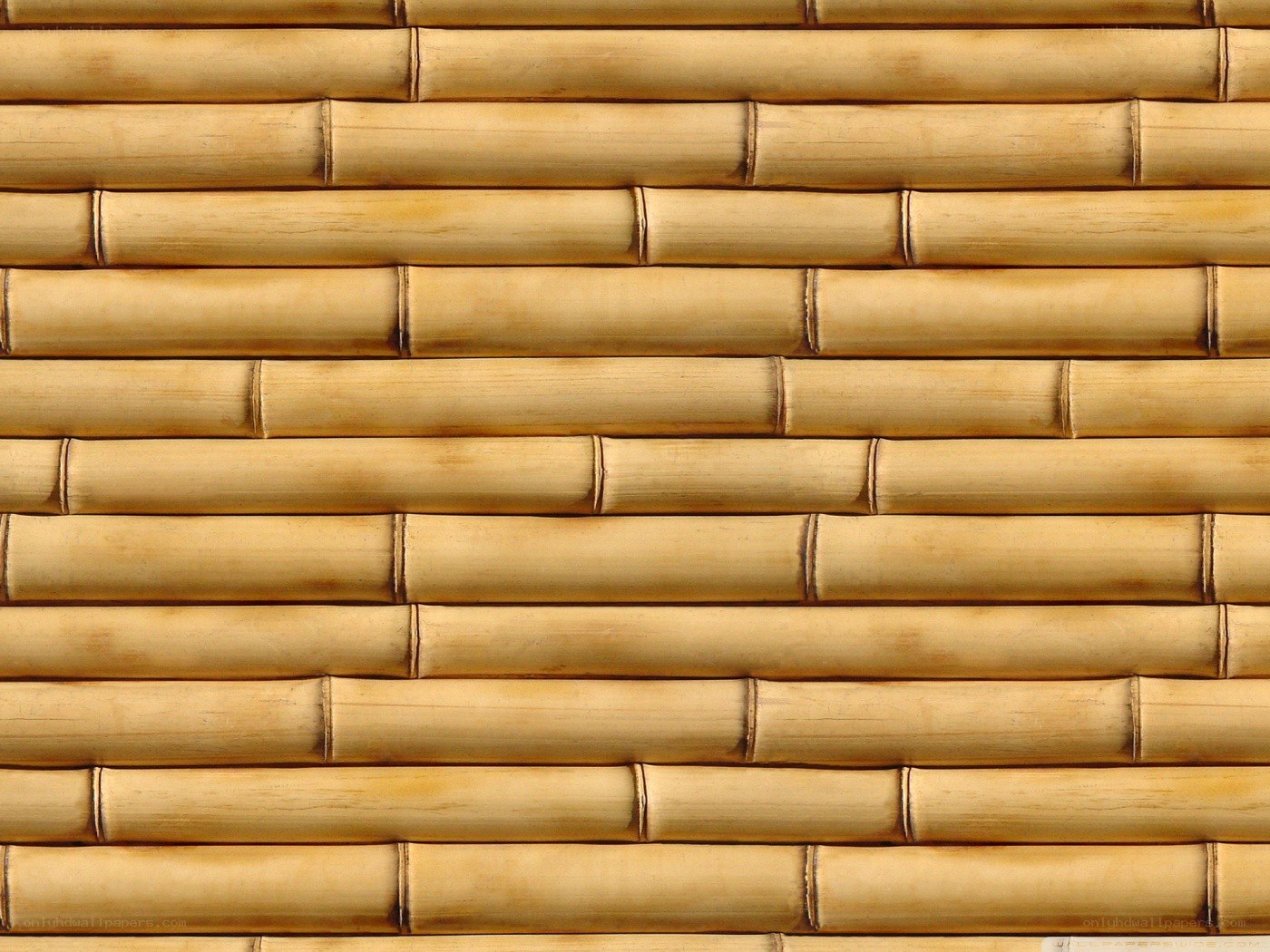 Bamboo wall texture