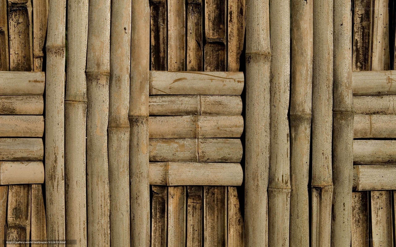 Bamboo wall texture