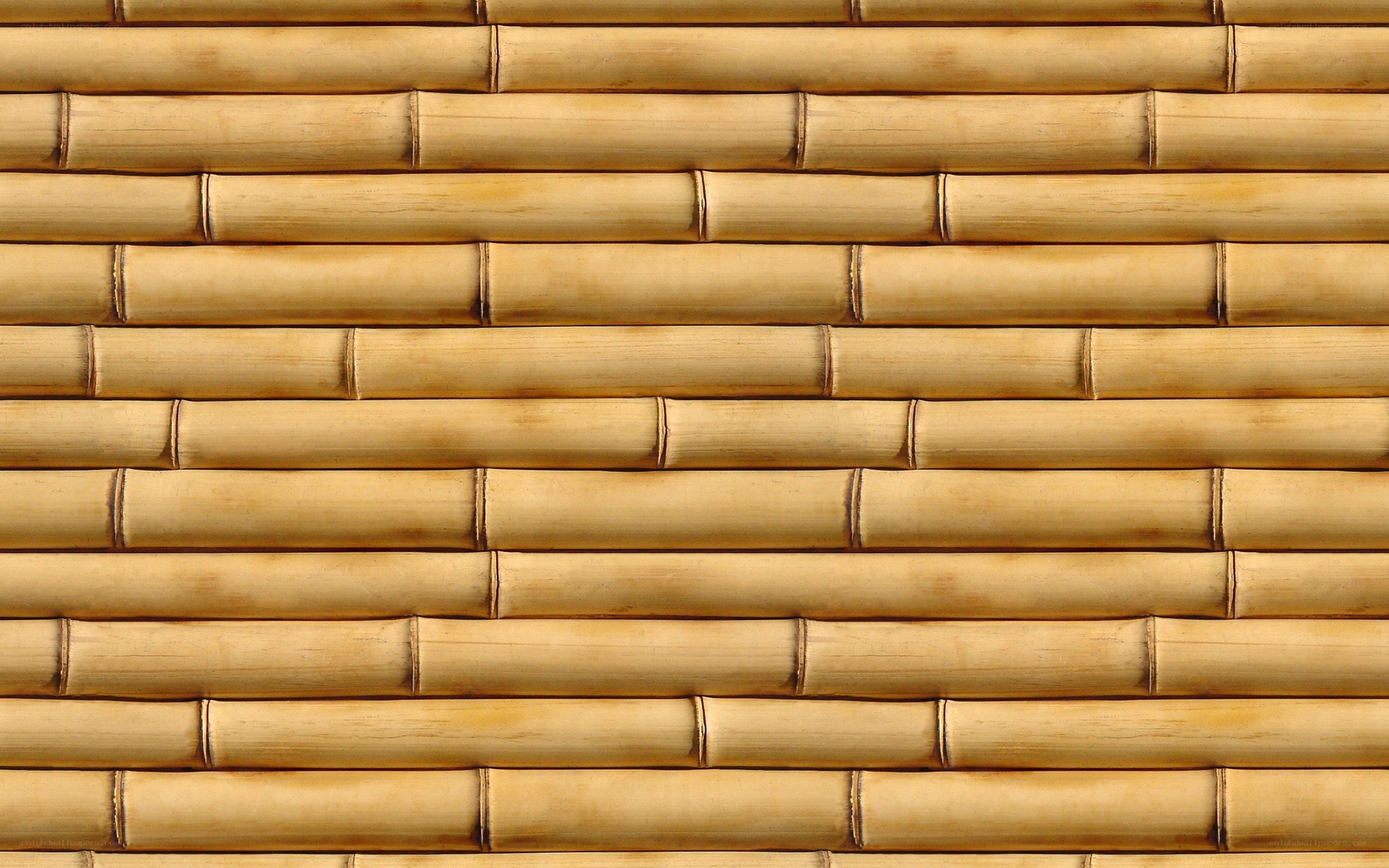 Bamboo wall texture