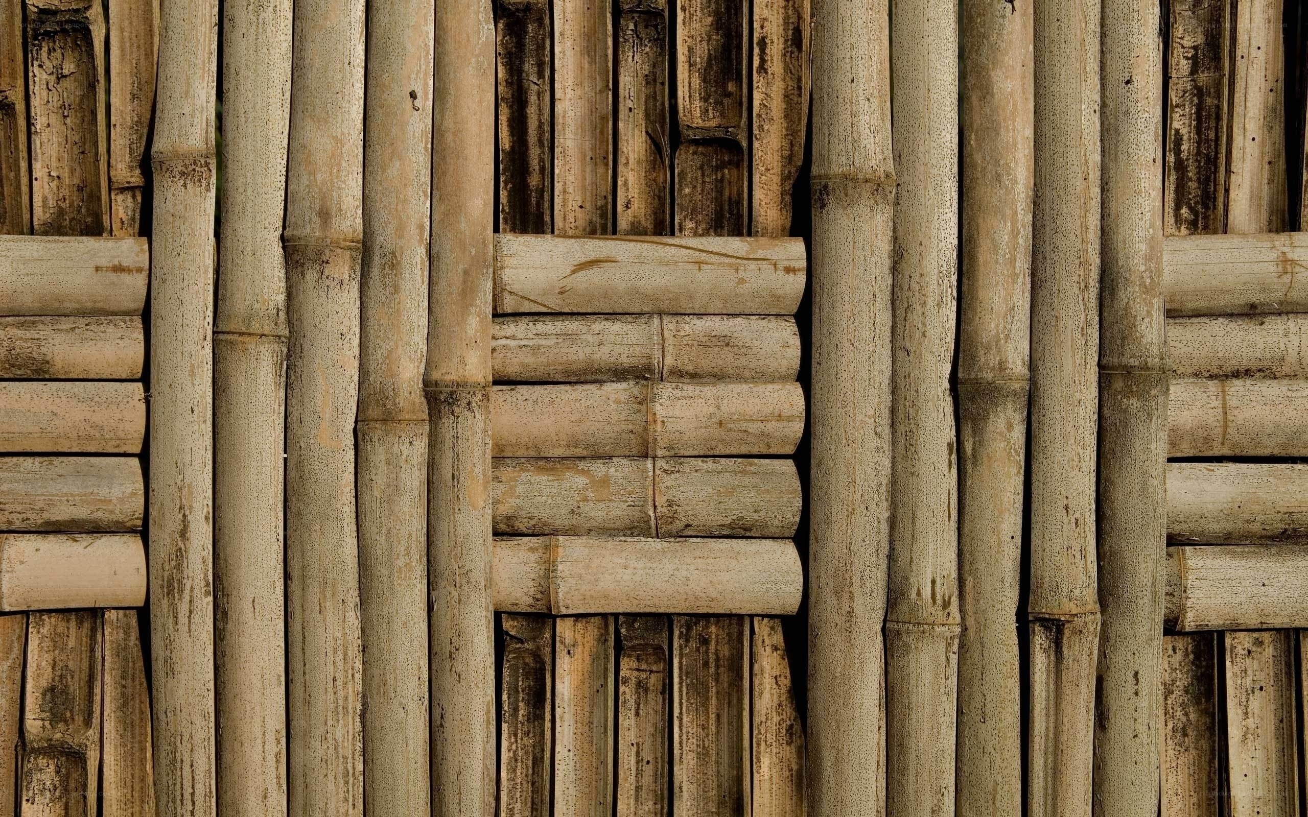 Bamboo wall texture