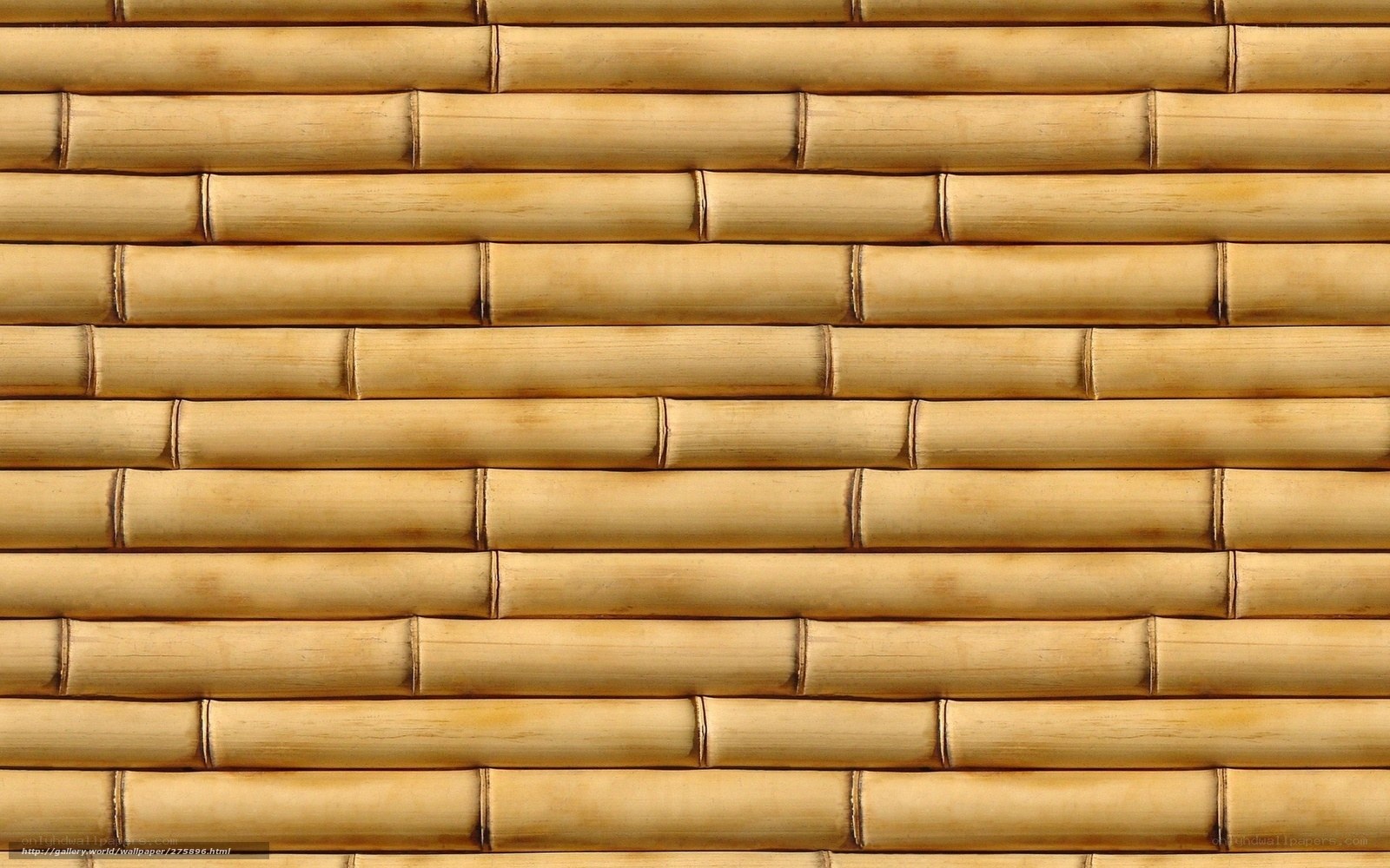 Bamboo wall texture
