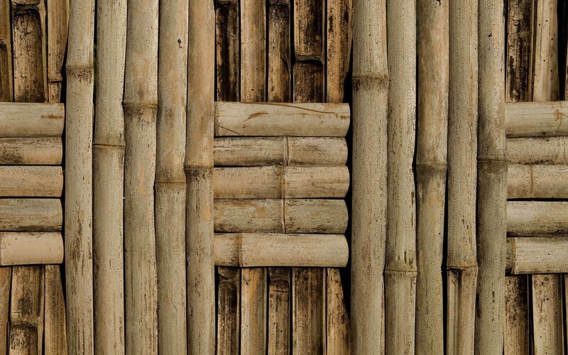 Bamboo wall texture