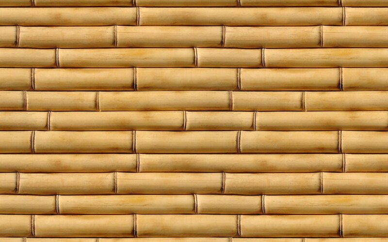 Bamboo wall texture