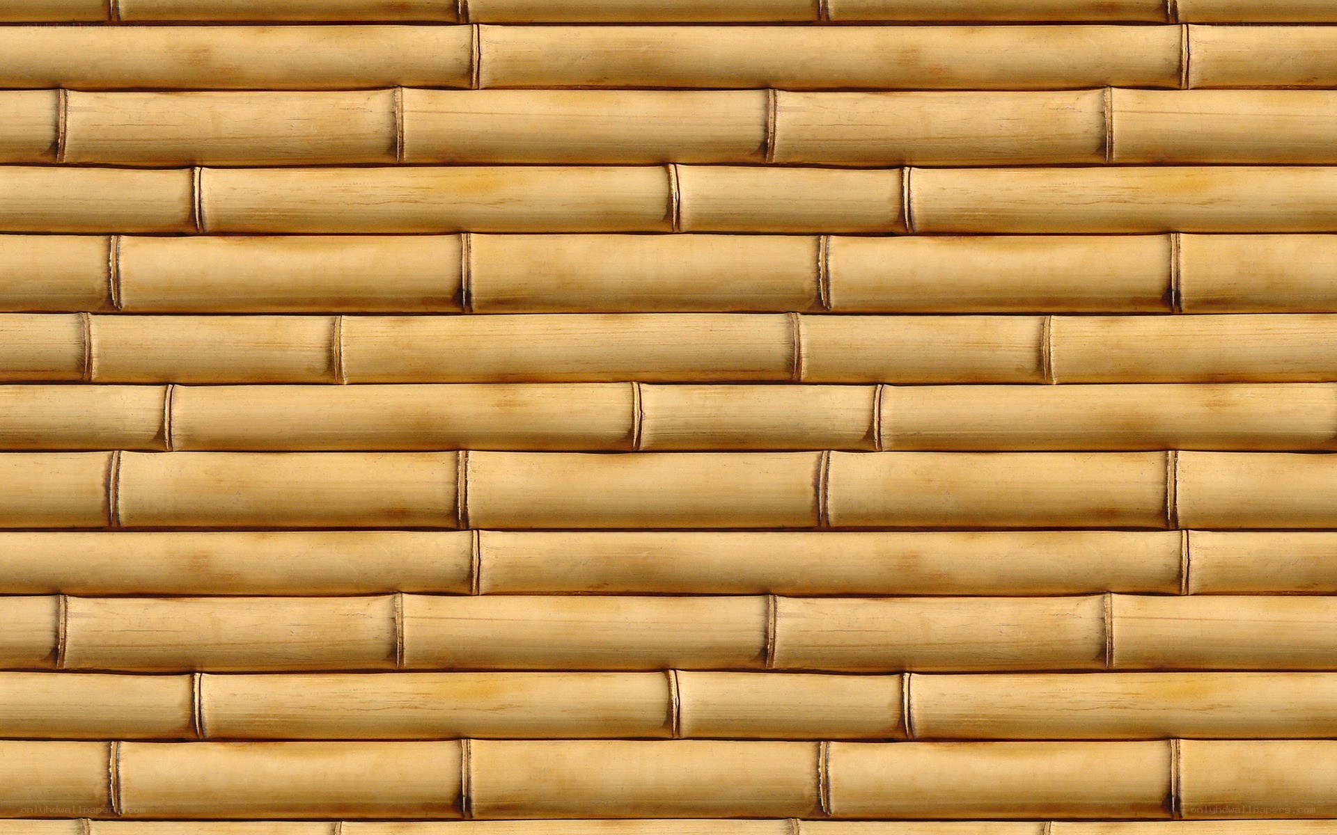 Bamboo wall texture