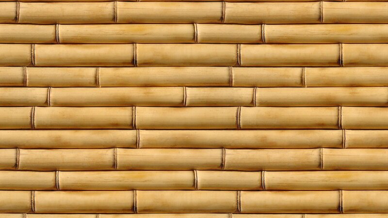 Bamboo Wall Texture — Beige, Neutral, Photograph