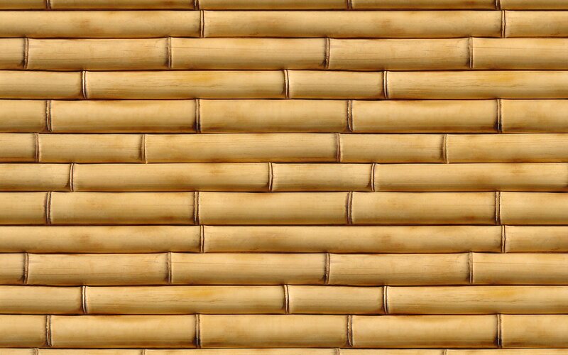 Bamboo Wall Texture — Beige, Neutral