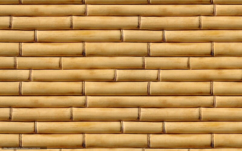 Bamboo Wall Texture — Brown, Neutral, Photograph