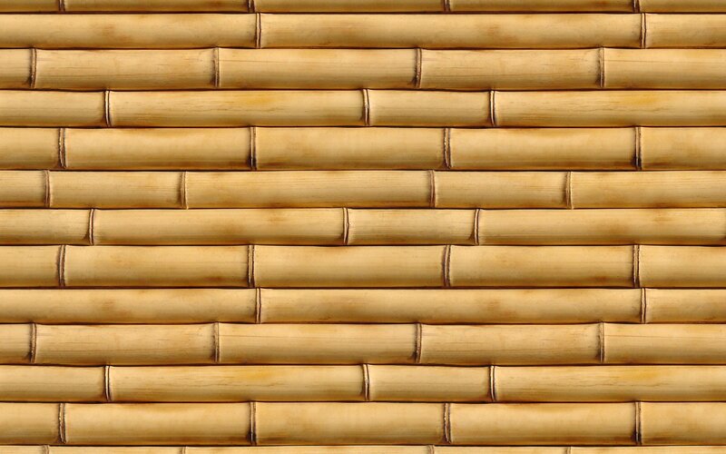 Bamboo Wall Texture — Brown, Neutral