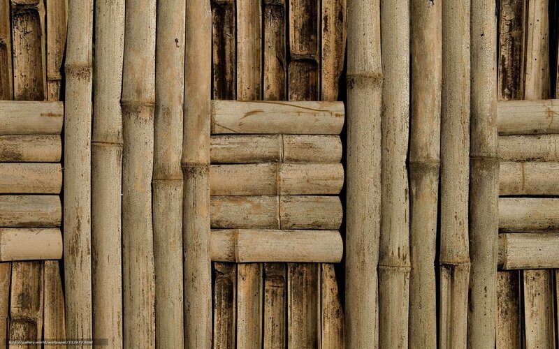 Bamboo Wall Texture — Brown