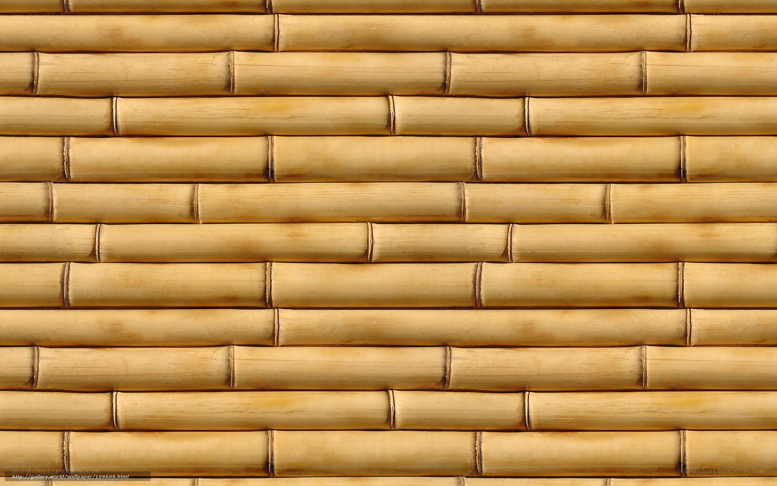 Bamboo wall texture