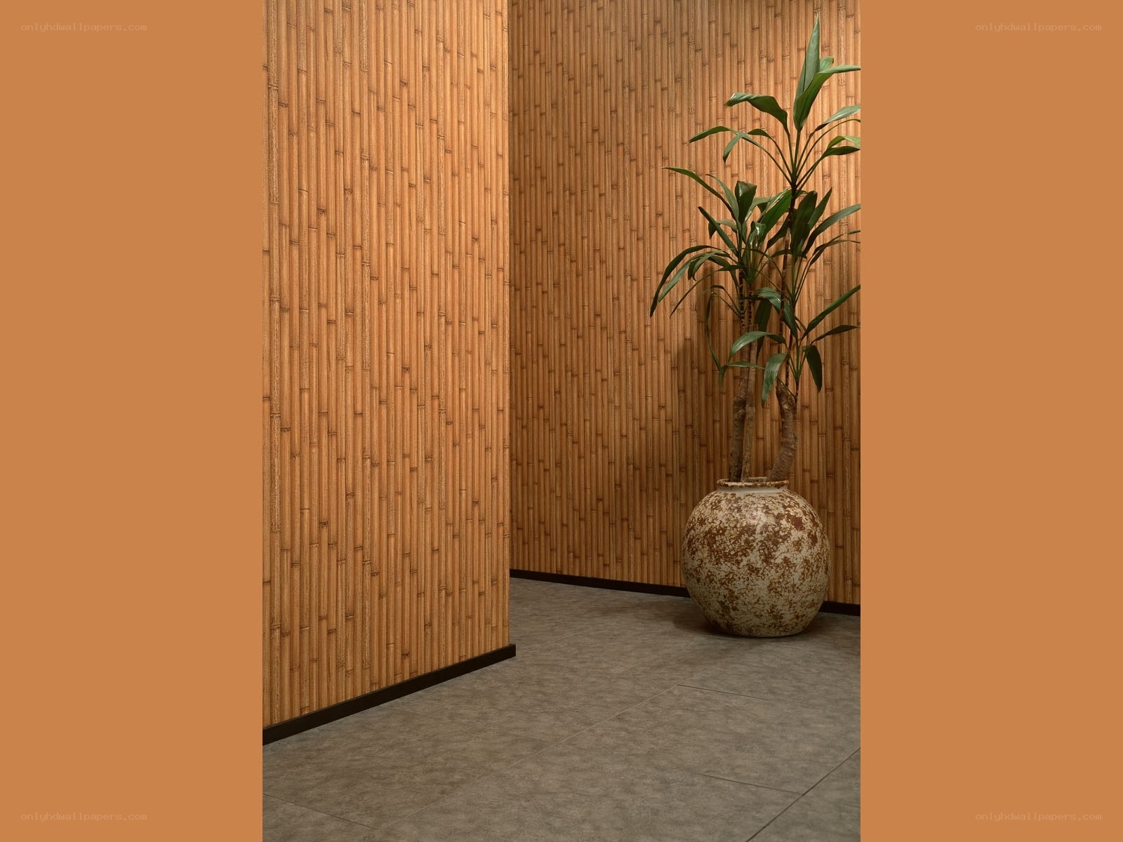 Bamboo wall with potted plant