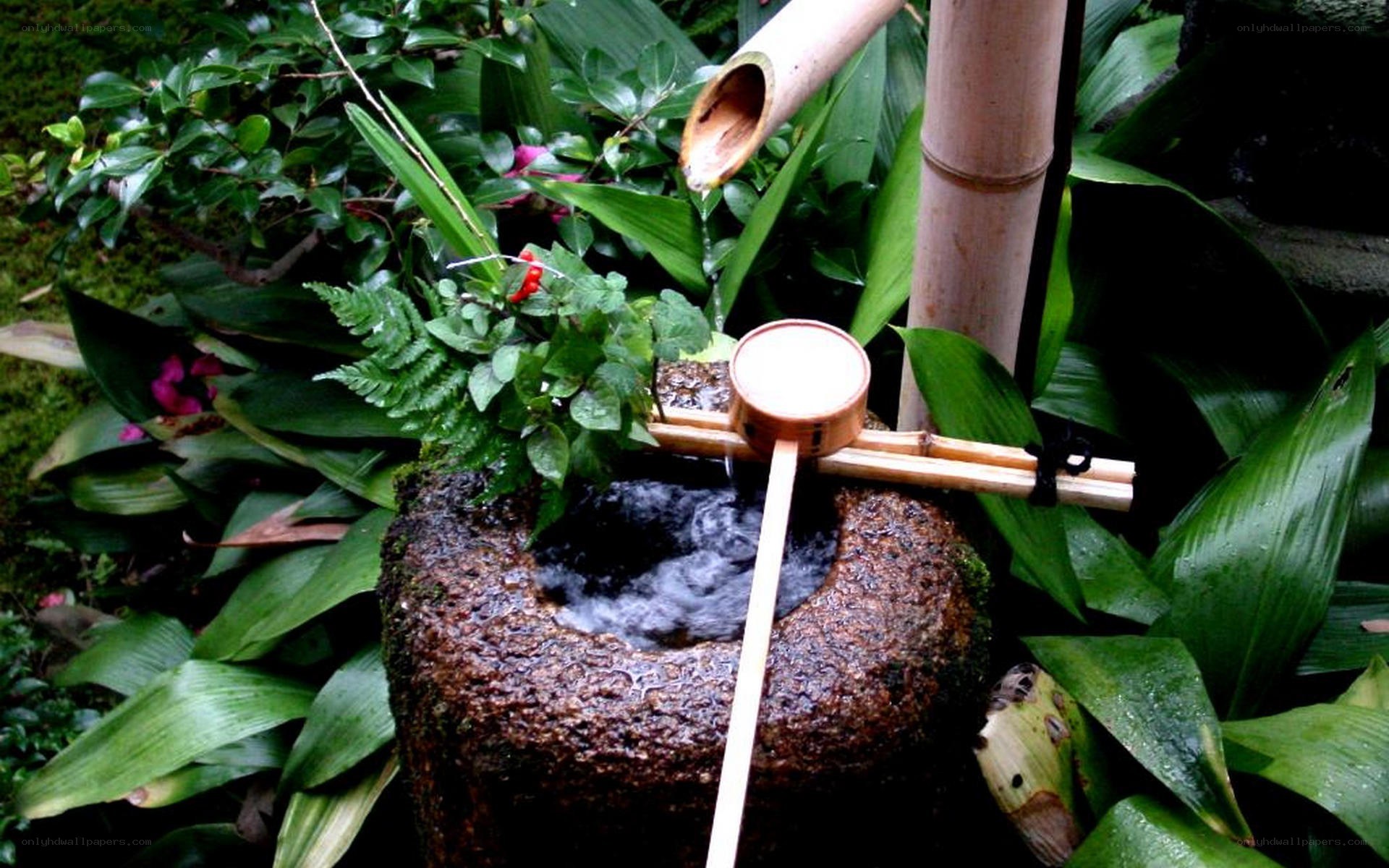 Bamboo water feature in garden