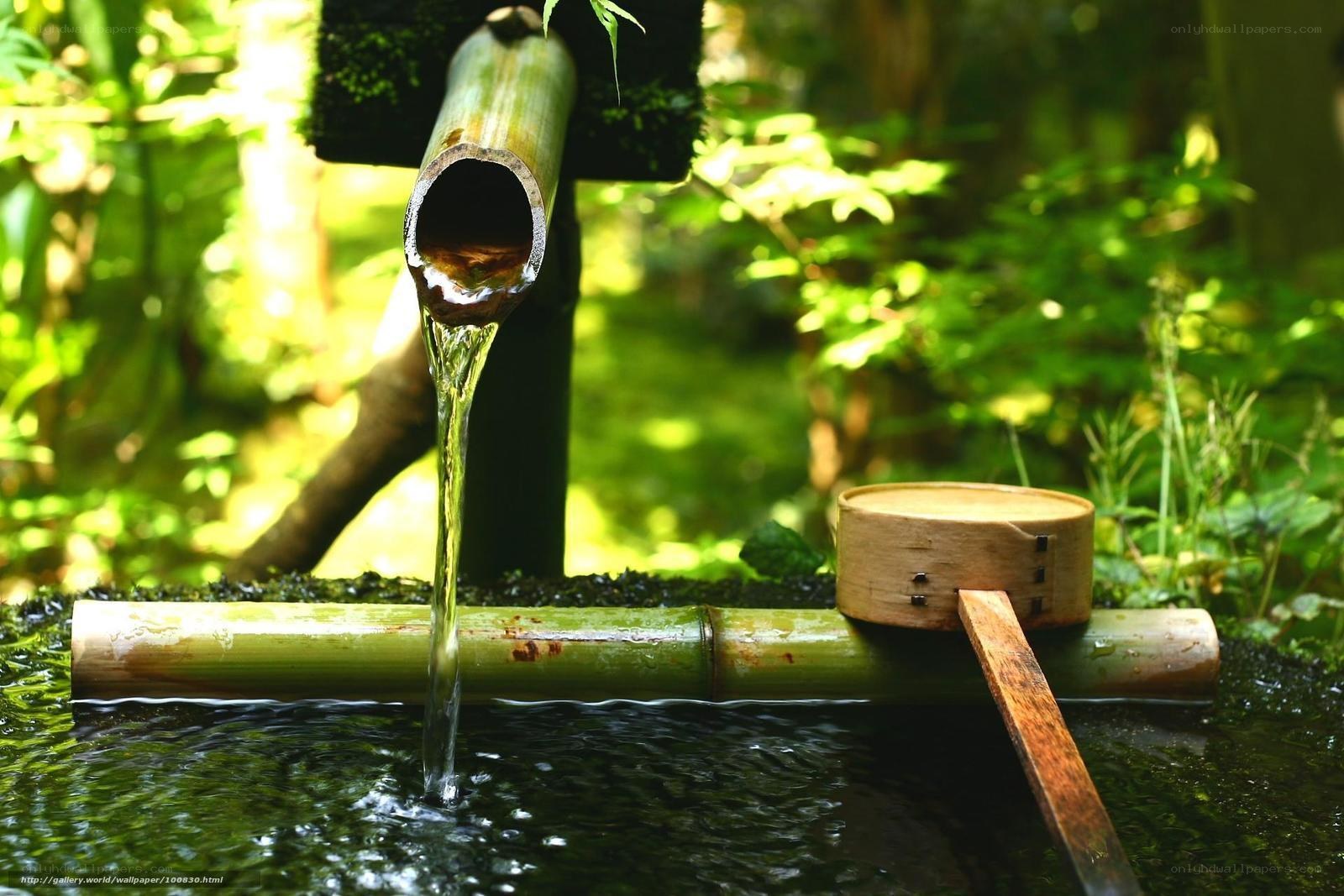 Bamboo water fountain in garden