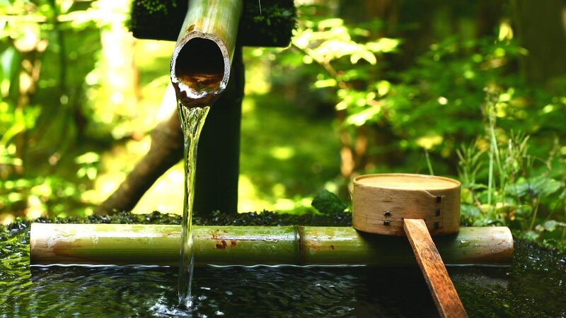 Bamboo Water Spout — Green, Serene, Afternoon, Photograph, Bamboo Pipe