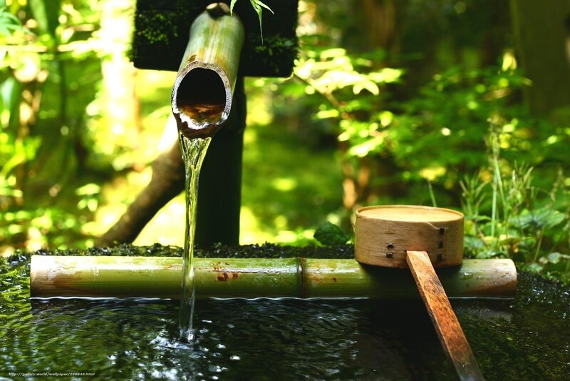 Bamboo Water Spout — Green, Serene, Afternoon