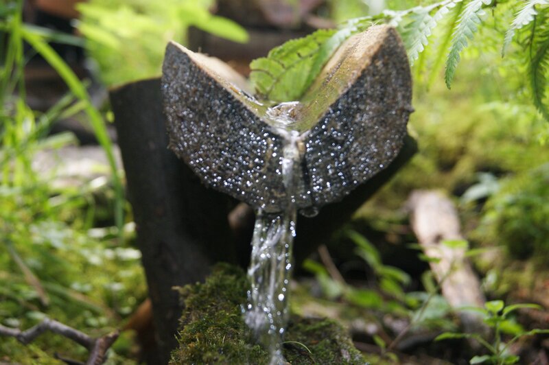 Bamboo Water Spout — Green, Serene, Photograph