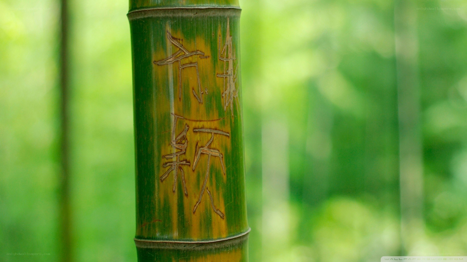Bamboo with carved characters