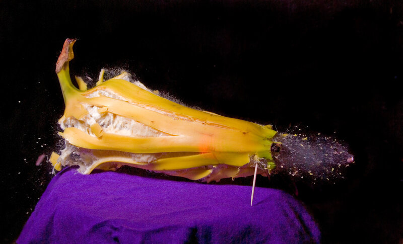 banana explosion in slow motion