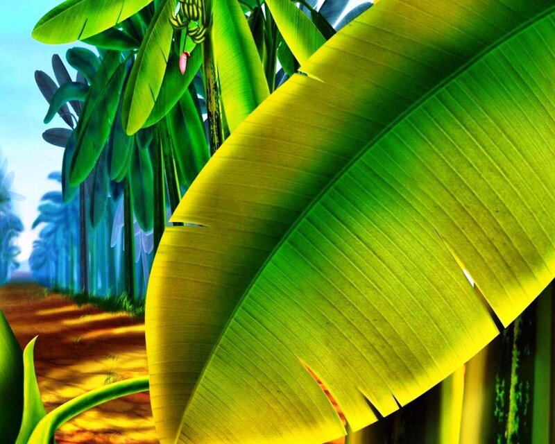 Banana Plant Leaf