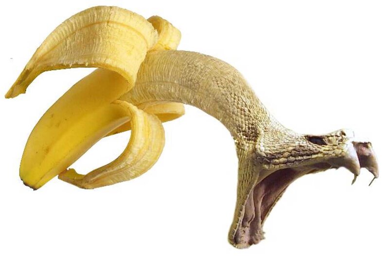 banana with snake head