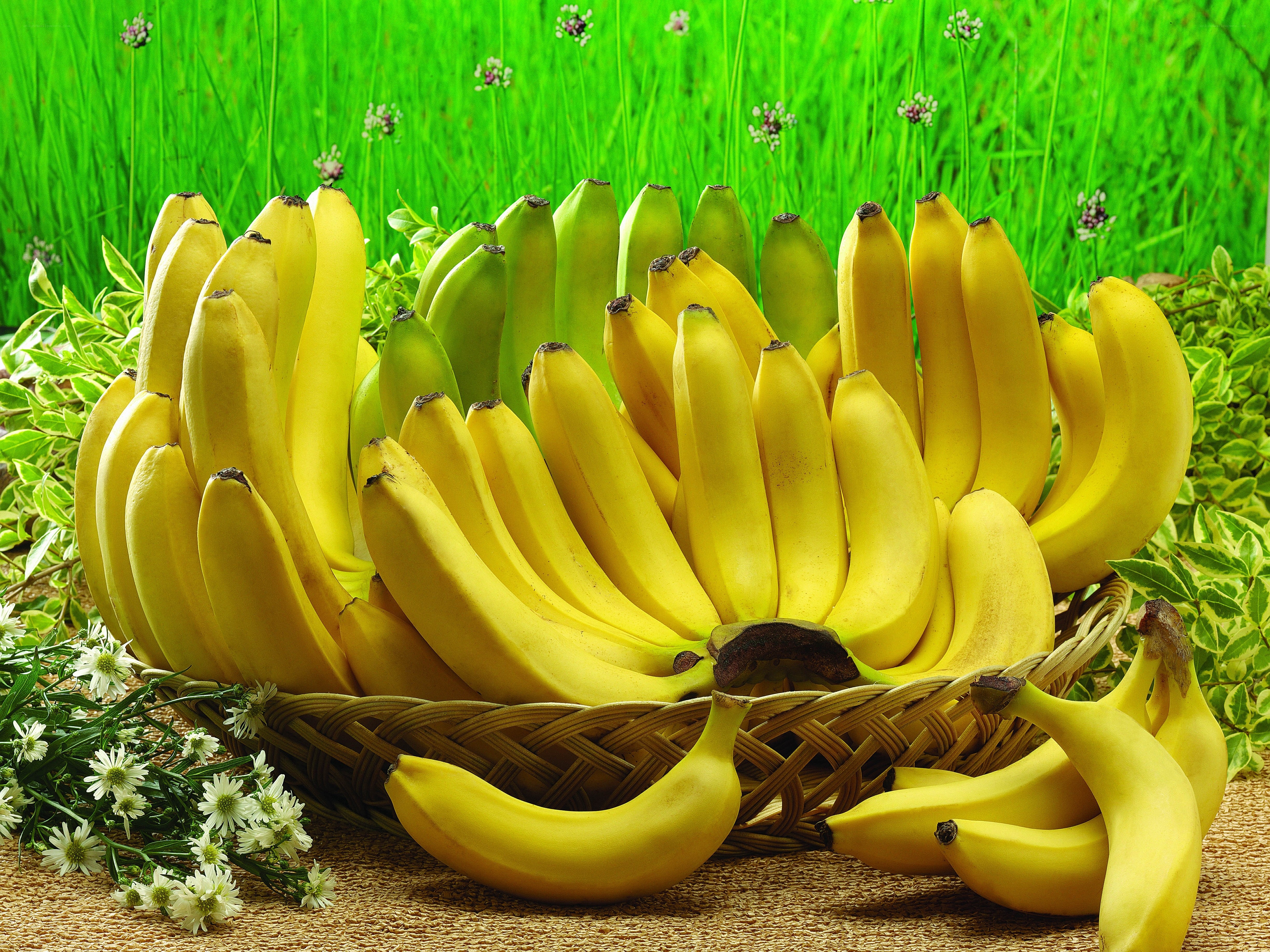 Bananas in a basket