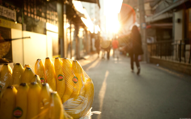 Bananas in a sunlit alley