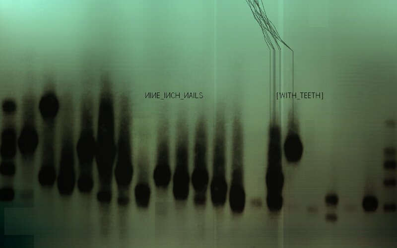 Band Album Cover — Green