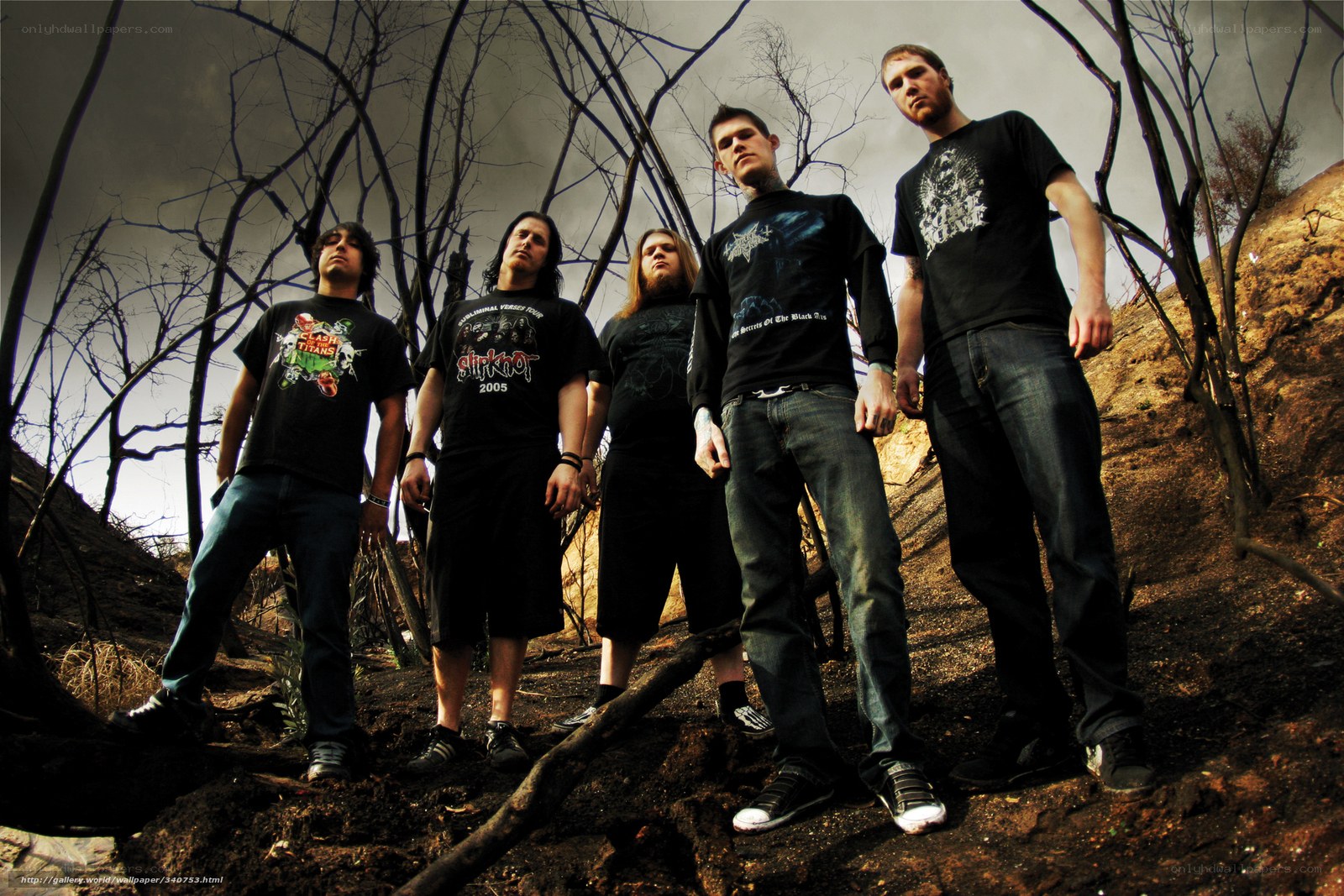 band in a burnt forest