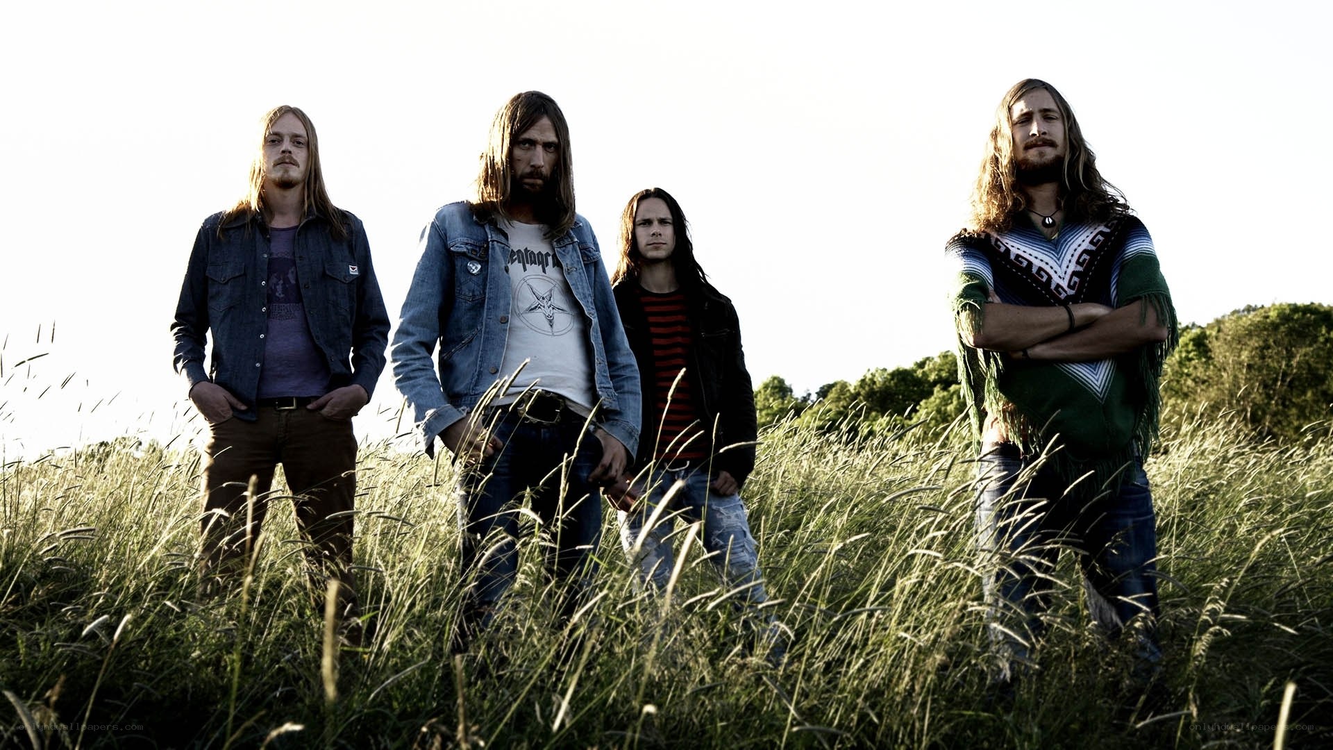 band in a field