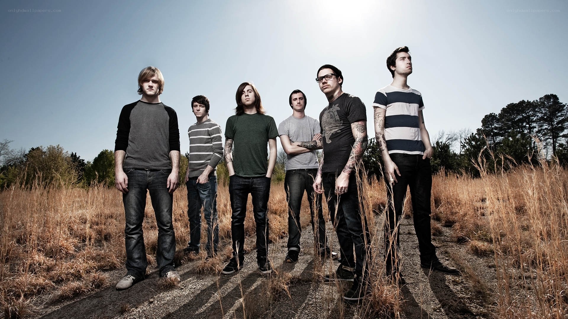 band in a field