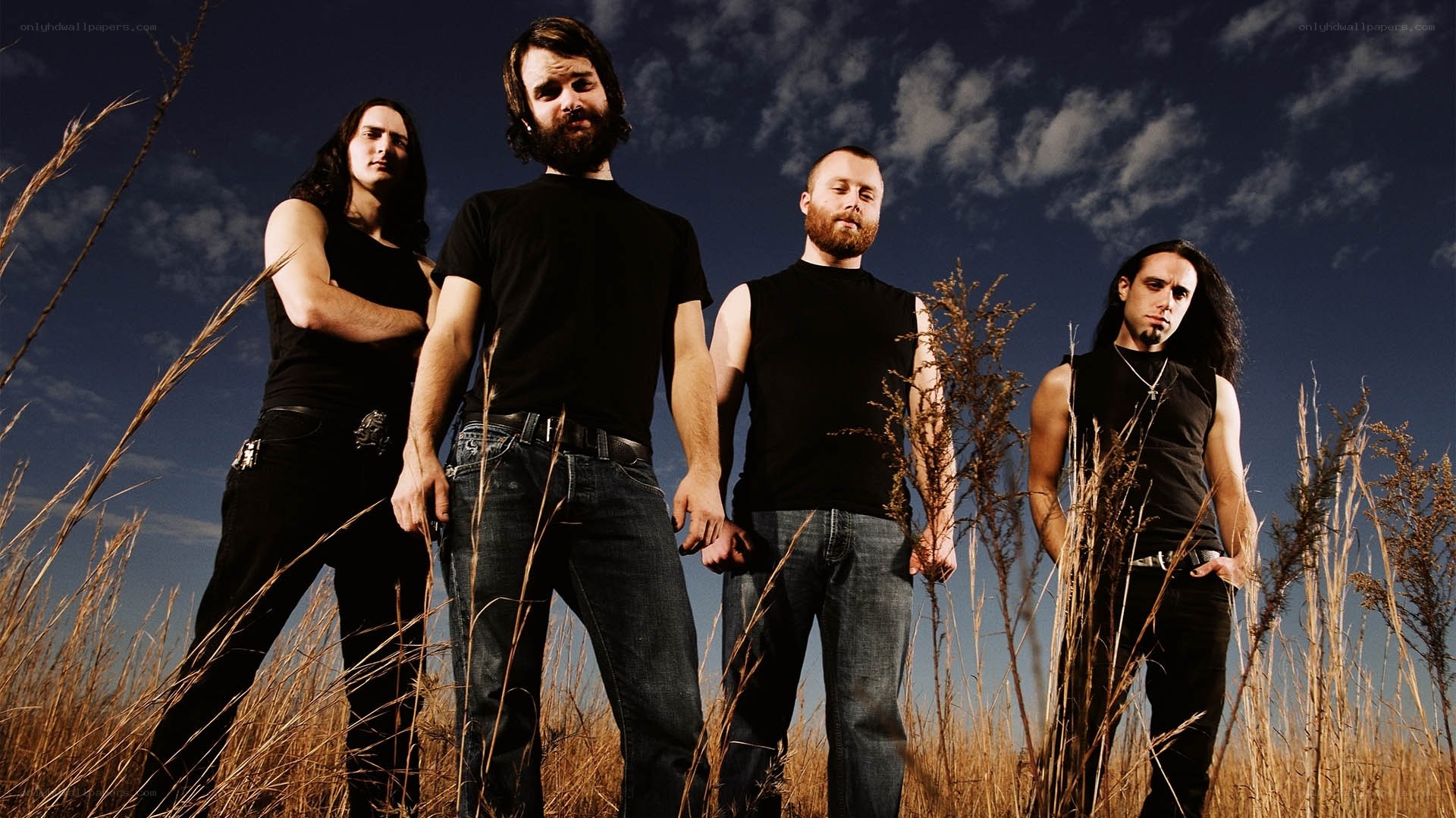 band in a field at dusk