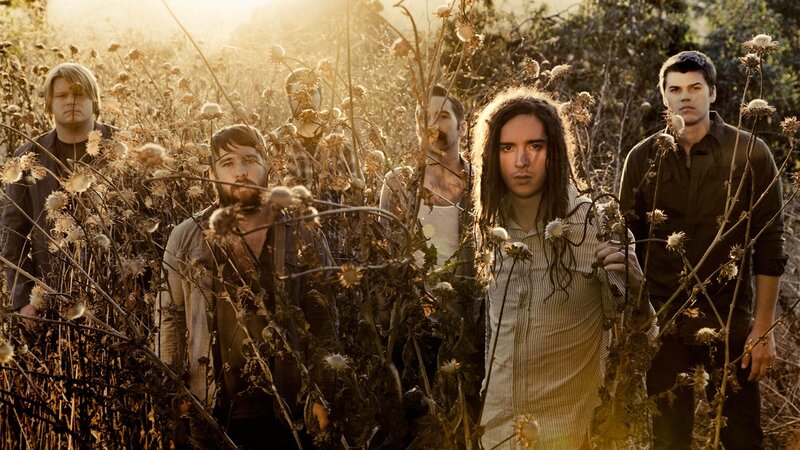 Band in a Field — Brown