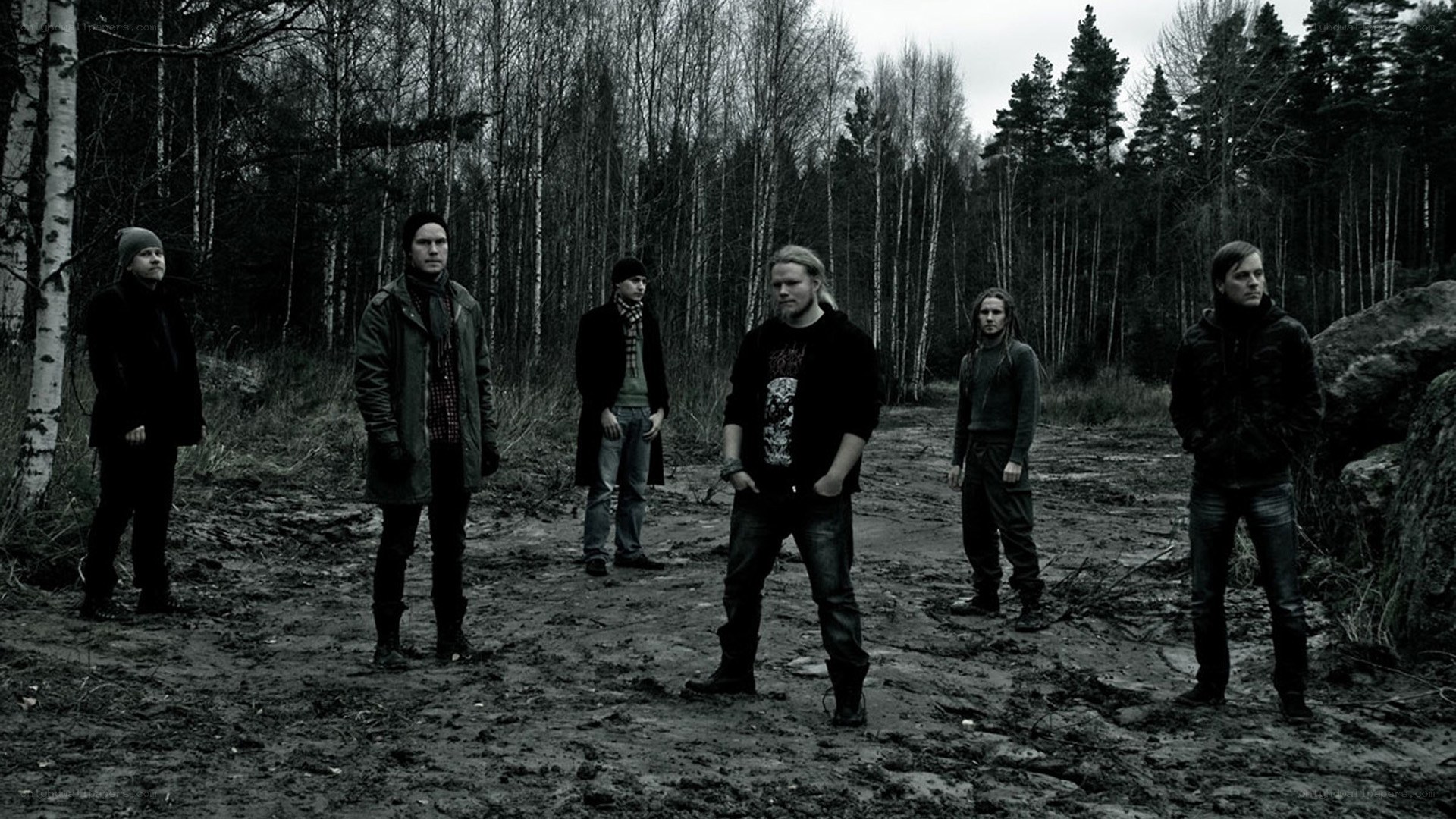 band in a forest clearing