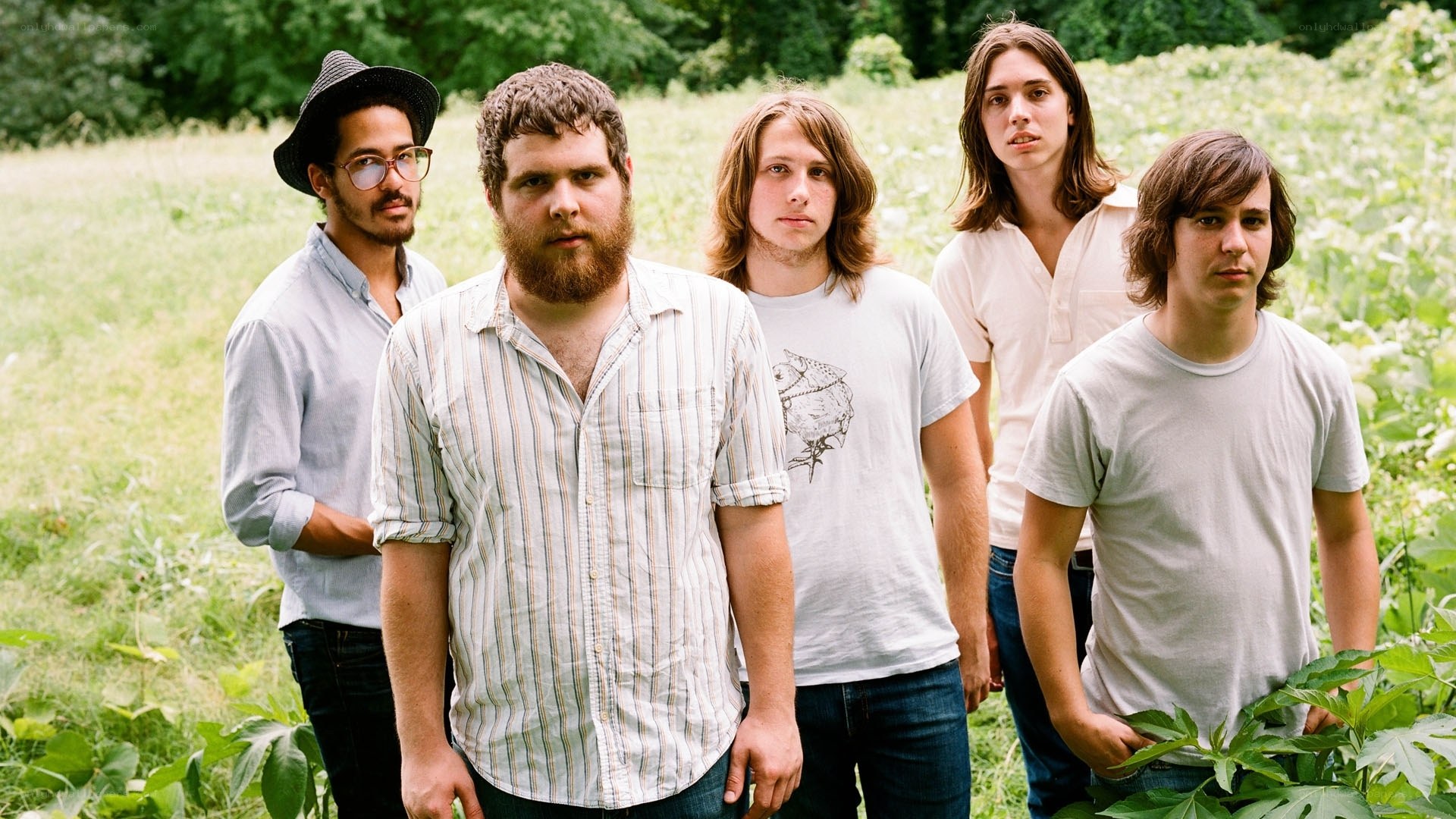band in a green field