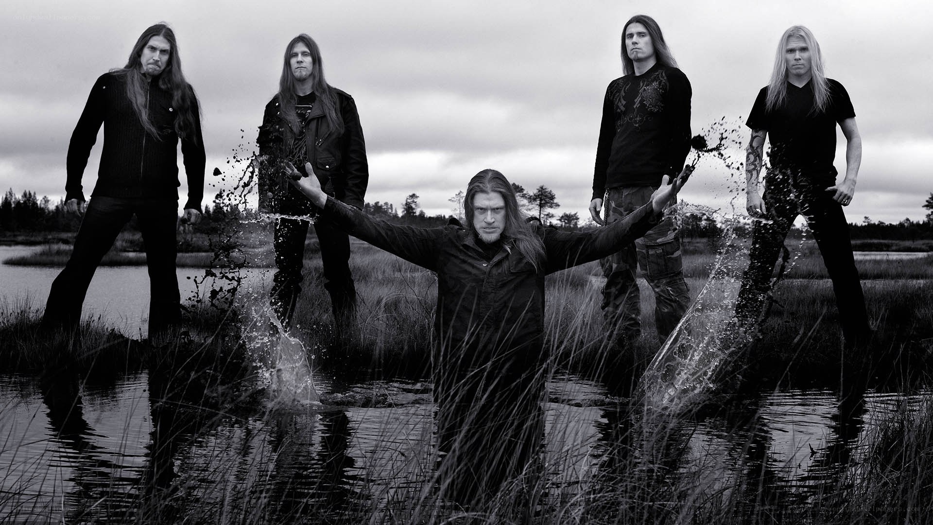 band in a marsh