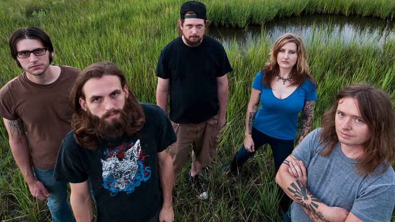 band in a marsh