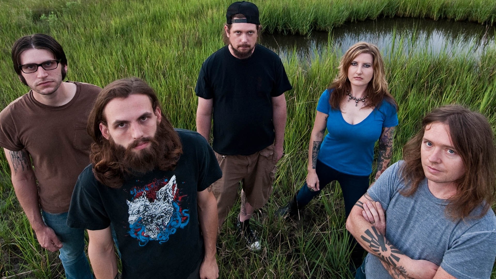 band in a marsh