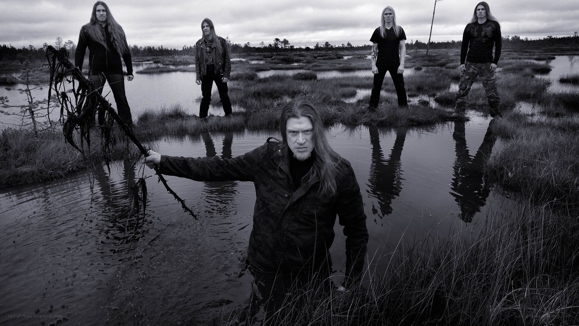 band in a swamp