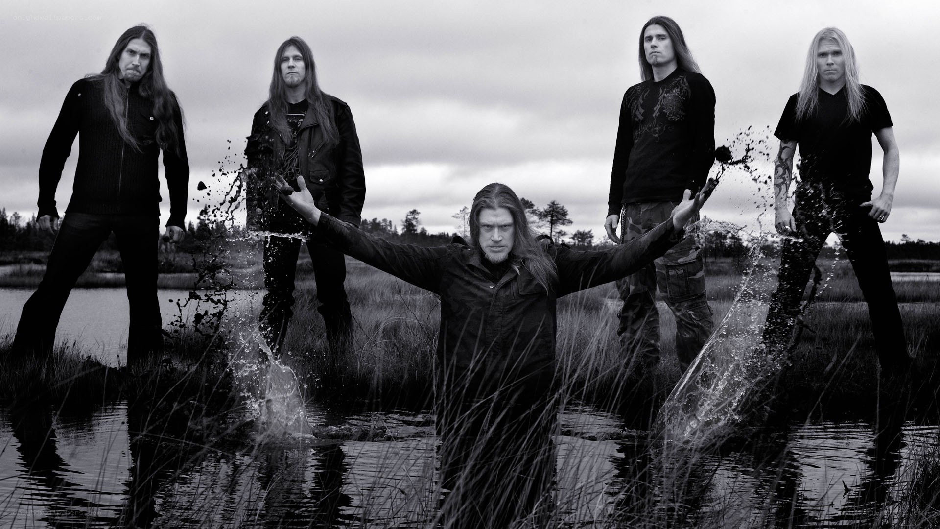 band in a swamp