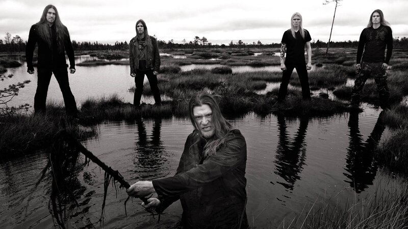 band in a swamp