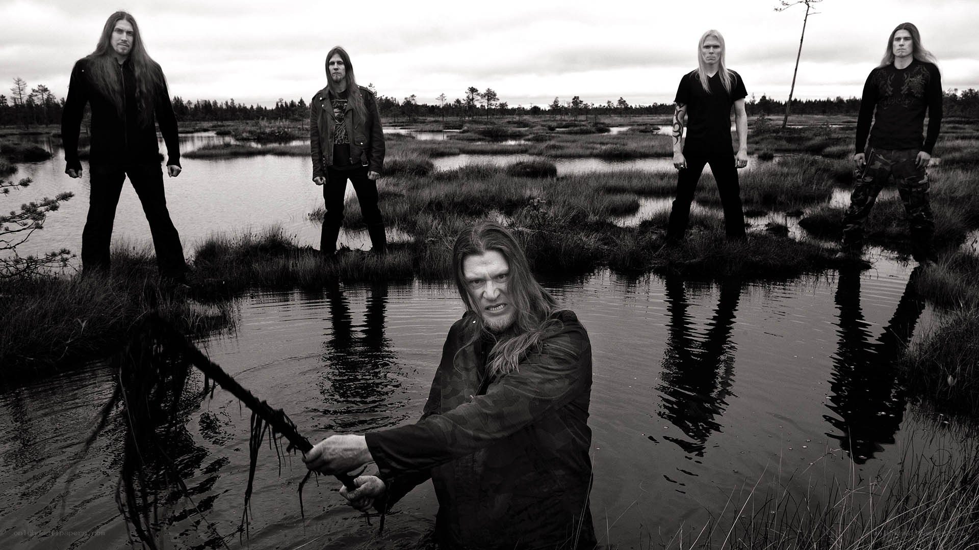 band in a swamp